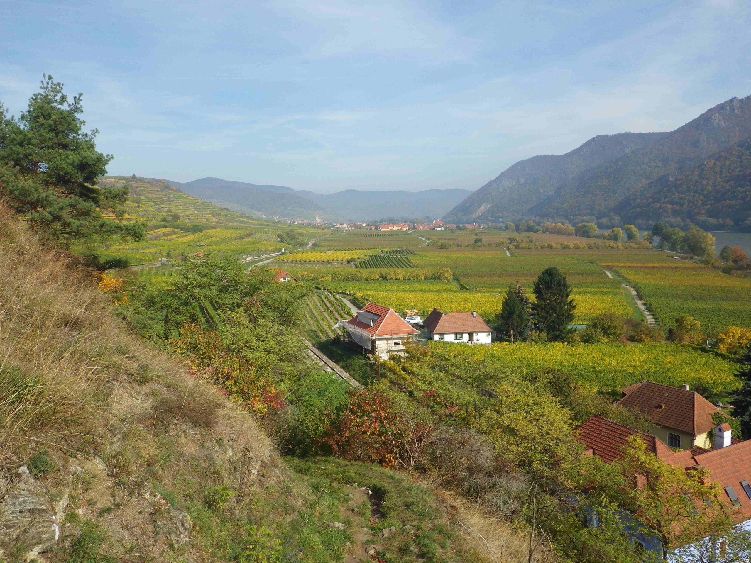 Herbst in der Wachau