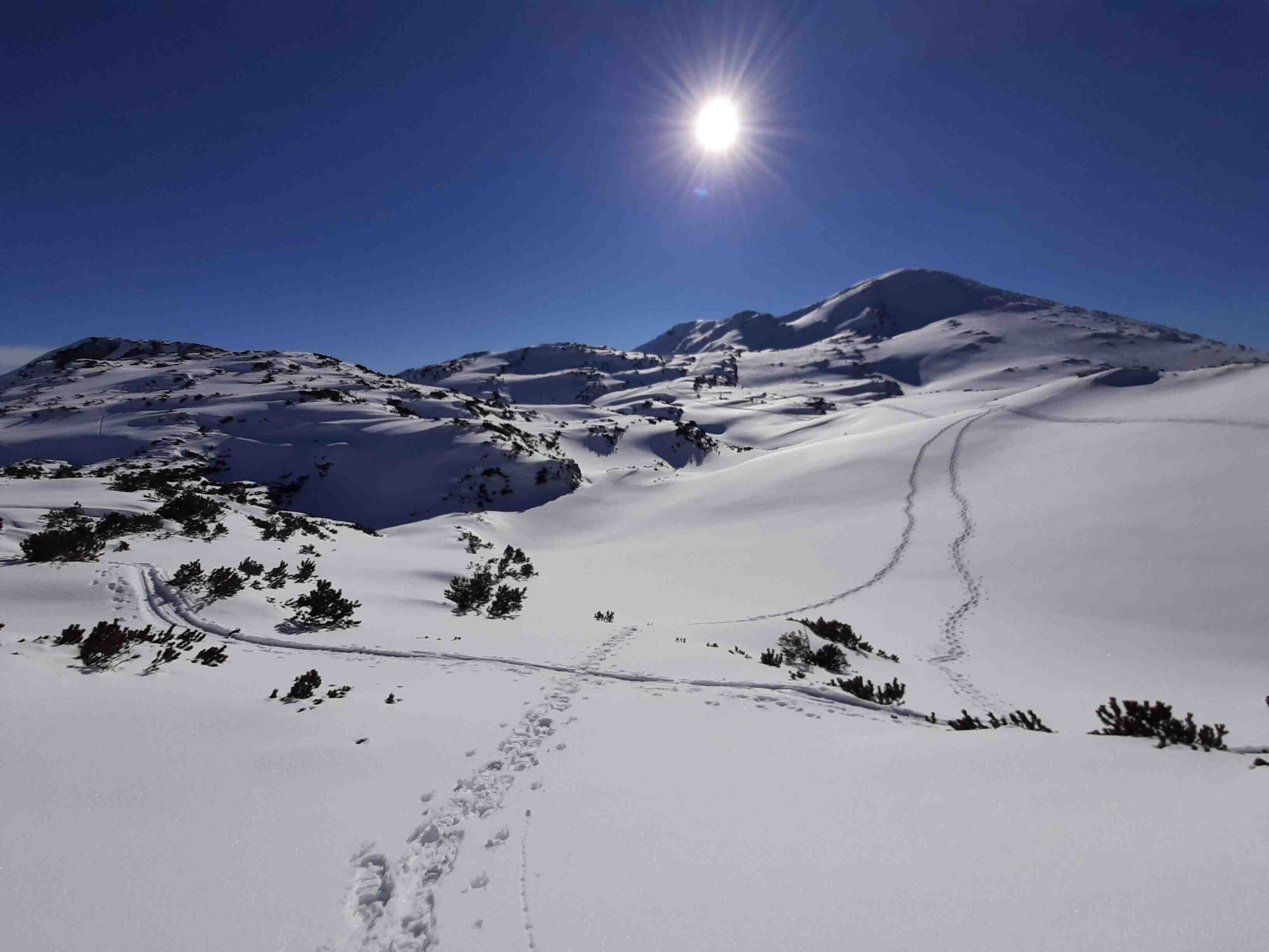 Im Höllengebirge_Höllkogel