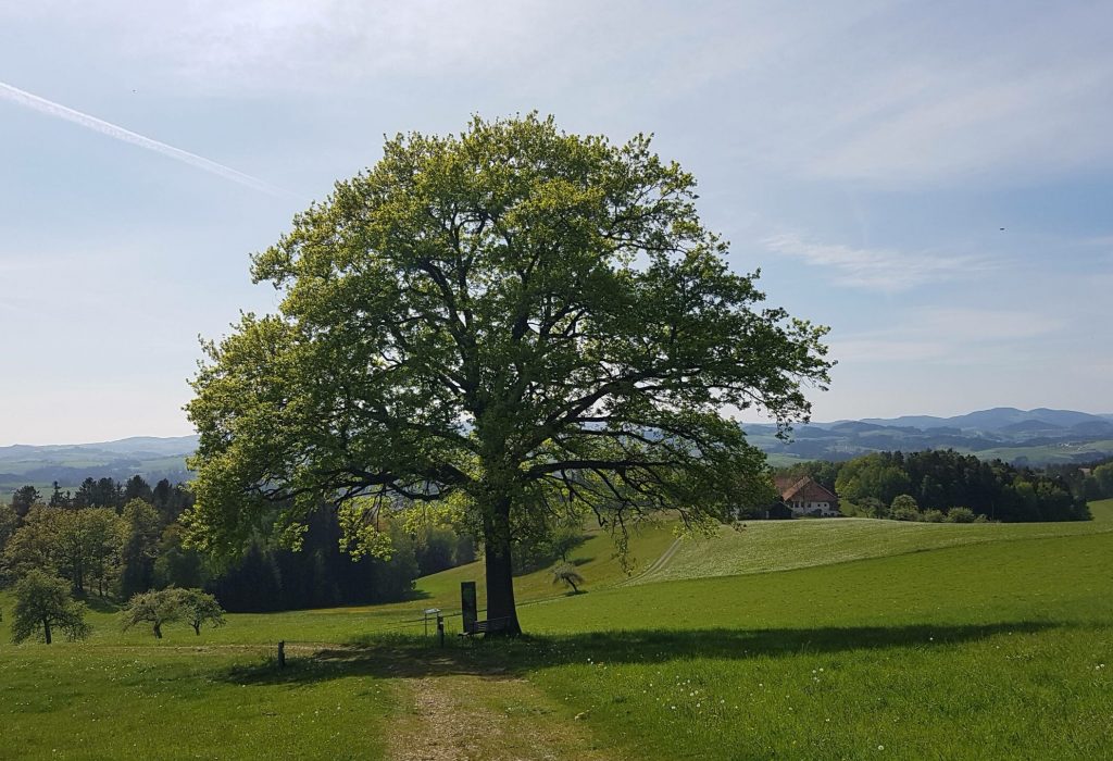 Auf-dem-Wanderweg_70-1.jpg