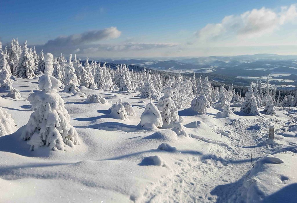 Beim Schneeschuhwandern_25%