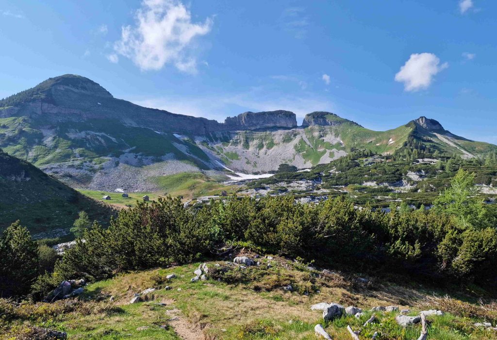Bräuningalm_Bräuningzinken