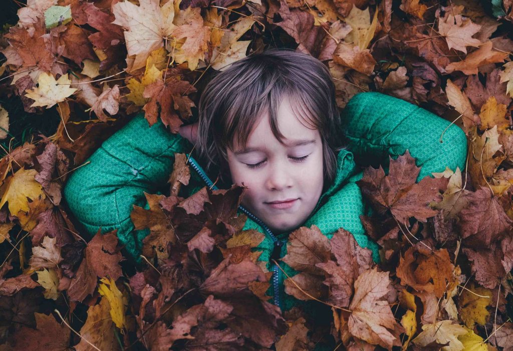 annie-spratt-Ewfrjh0GvtY-unsplash_25%